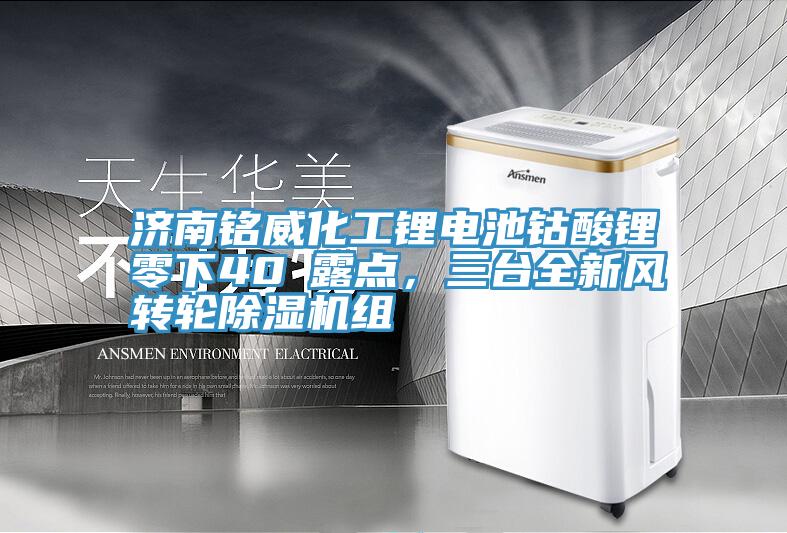 濟(jì)南銘威化工鋰電池鈷酸鋰零下40℃露點(diǎn)，三臺全新風(fēng)轉(zhuǎn)輪除濕機(jī)組