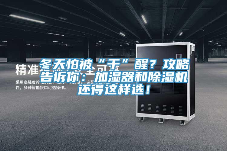 冬天怕被“干”醒？攻略告訴你：加濕器和除濕機還得這樣選！