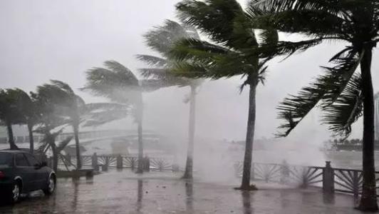 8月臺風(fēng)雨即將來，除濕機還得用起來