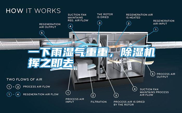 一下雨濕氣重重，除濕機(jī)揮之即去