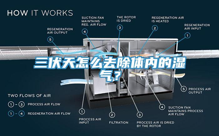 三伏天怎么去除體內(nèi)的濕氣？