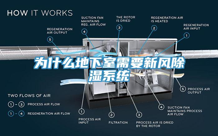 為什么地下室需要新風除濕系統(tǒng)