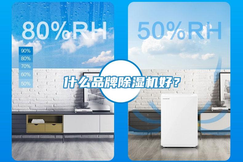 什么品牌除濕機(jī)好？