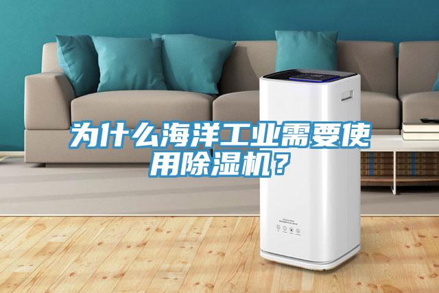 為什么海洋工業(yè)需要使用除濕機？