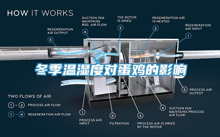 冬季溫濕度對蛋雞的影響