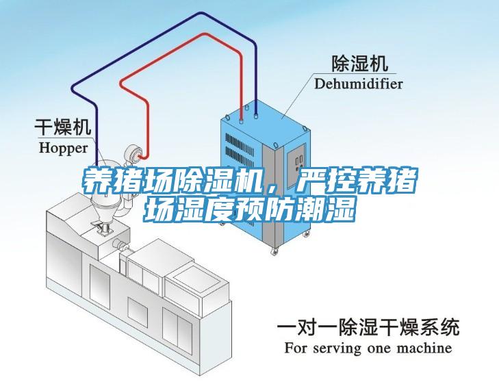 養(yǎng)豬場除濕機，嚴(yán)控養(yǎng)豬場濕度預(yù)防潮濕