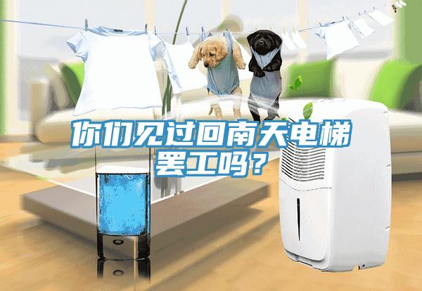 你們見過回南天電梯罷工嗎？