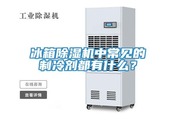 冰箱除濕機中常見的制冷劑都有什么？