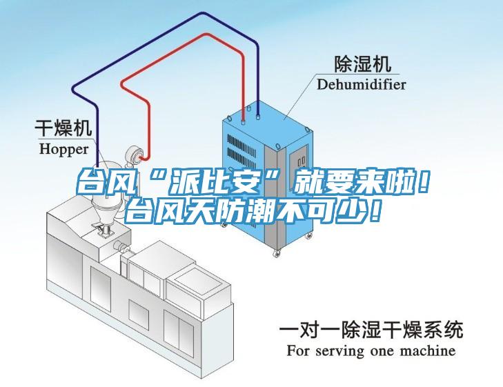 臺風(fēng)“派比安”就要來啦！臺風(fēng)天防潮不可少！