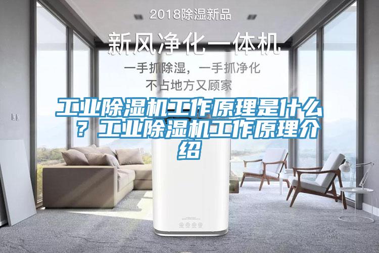 工業(yè)除濕機工作原理是什么 ？工業(yè)除濕機工作原理介紹