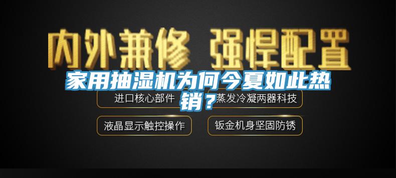 家用抽濕機為何今夏如此熱銷？