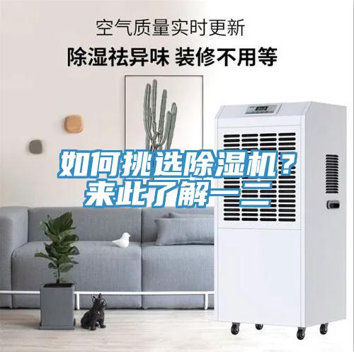 如何挑選除濕機？來此了解一二