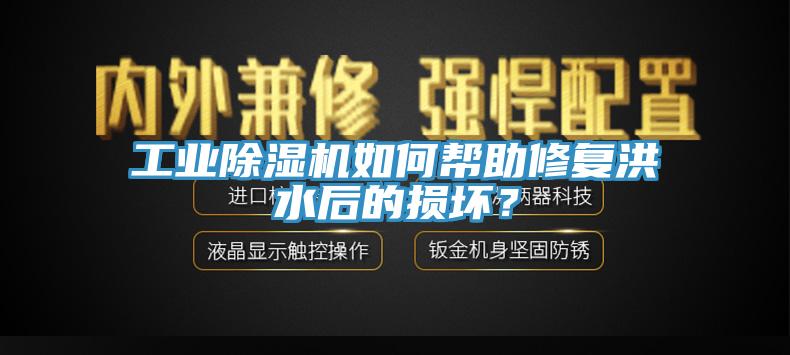 工業(yè)除濕機如何幫助修復洪水后的損壞？