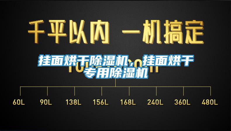 掛面烘干除濕機，掛面烘干專用除濕機