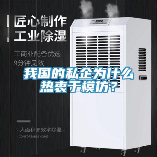 我國的私企為什么熱衷于模仿？