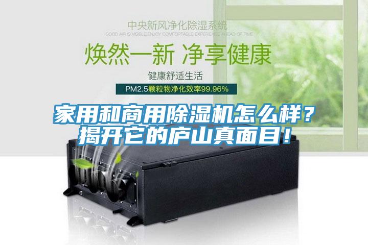 家用和商用除濕機怎么樣？揭開它的廬山真面目！