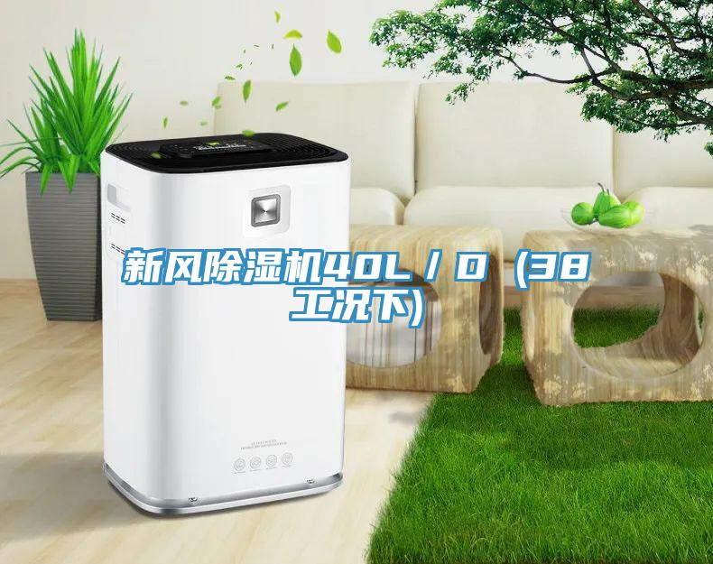 新風除濕機40L／D (38工況下)