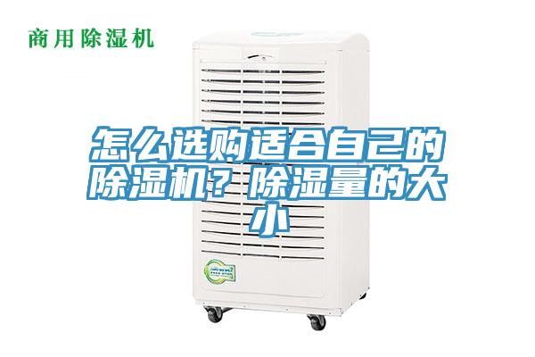 怎么選購適合自己的除濕機？除濕量的大小