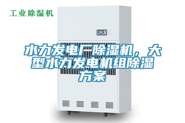 水力發(fā)電廠除濕機(jī)，大型水力發(fā)電機(jī)組除濕方案