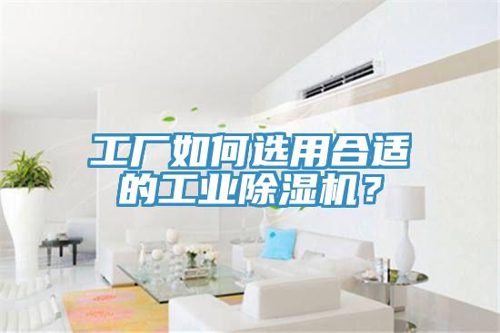 工廠如何選用合適的工業(yè)除濕機(jī)？