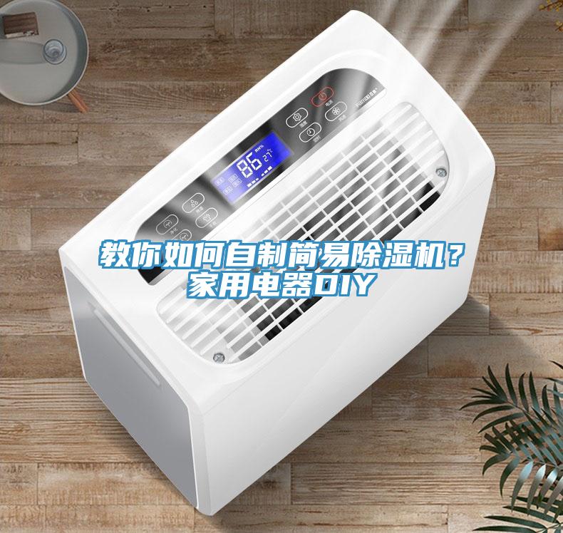 教你如何自制簡(jiǎn)易除濕機(jī)？家用電器DIY