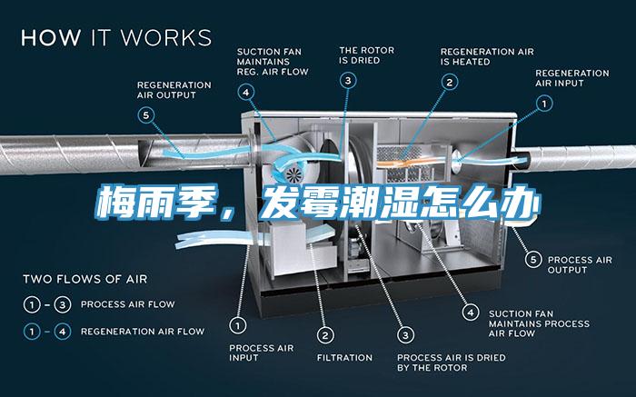 梅雨季，發(fā)霉潮濕怎么辦