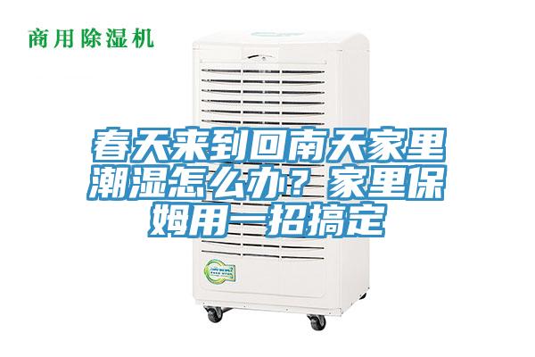 春天來(lái)到回南天家里潮濕怎么辦？家里保姆用一招搞定