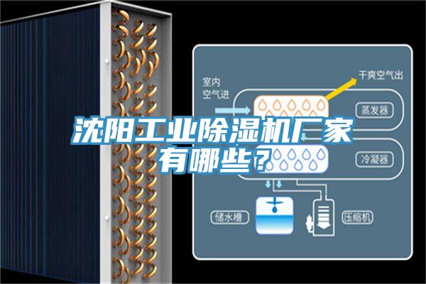 沈陽工業(yè)除濕機廠家有哪些？