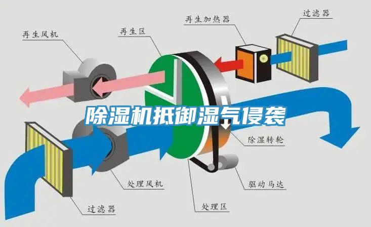 除濕機抵御濕氣侵襲