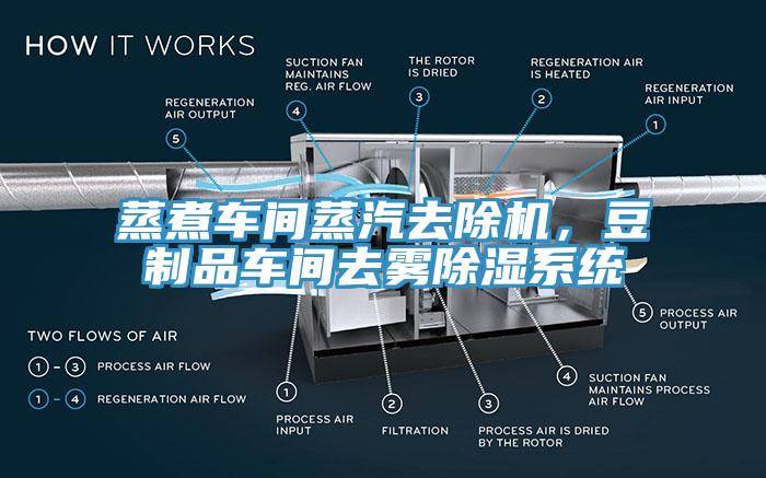 蒸煮車間蒸汽去除機，豆制品車間去霧除濕系統(tǒng)