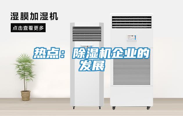 熱點(diǎn)：除濕機(jī)企業(yè)的發(fā)展