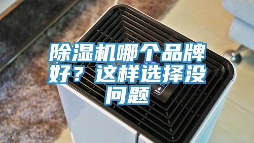 除濕機(jī)哪個品牌好？這樣選擇沒問題