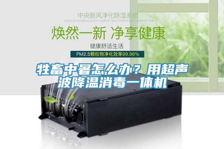 牲畜中暑怎么辦？用超聲波降溫消毒一體機