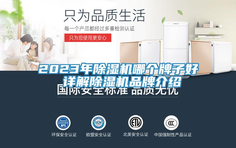 2023年除濕機(jī)哪個(gè)牌子好 詳解除濕機(jī)品牌介紹