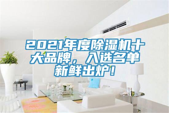 2021年度除濕機十大品牌，入選名單新鮮出爐！