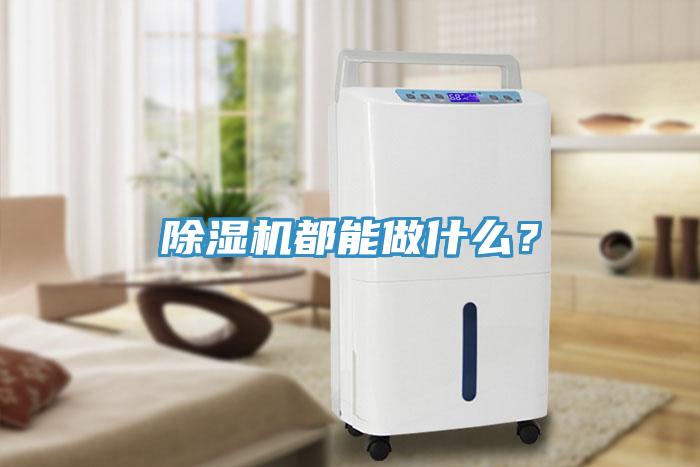 除濕機(jī)都能做什么？