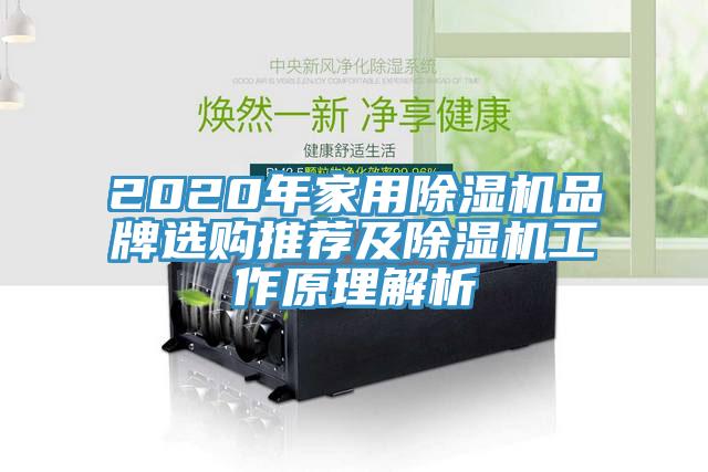 2020年家用除濕機品牌選購?fù)扑]及除濕機工作原理解析