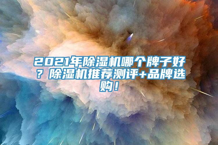 2021年除濕機哪個牌子好？除濕機推薦測評+品牌選購！