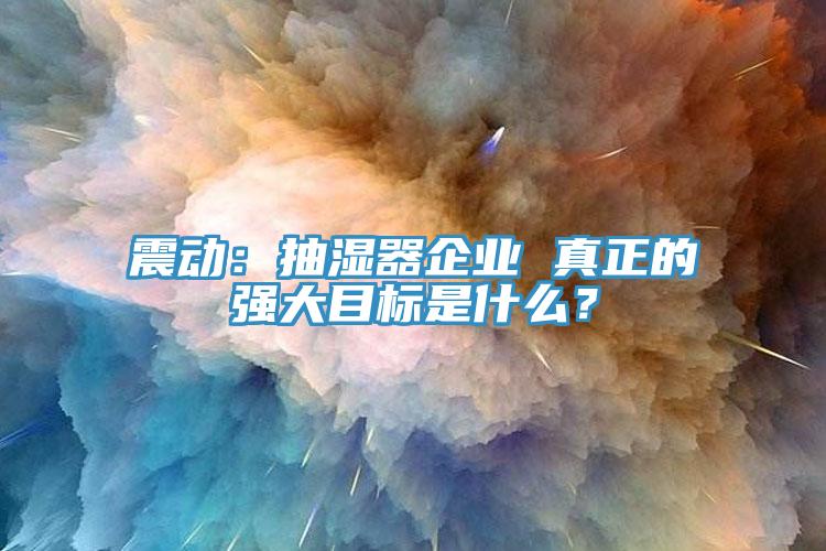 震動：抽濕器企業(yè) 真正的強大目標(biāo)是什么？