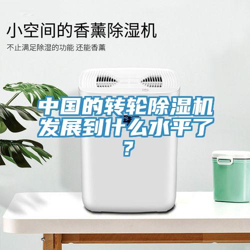 中國的轉(zhuǎn)輪除濕機(jī)發(fā)展到什么水平了？