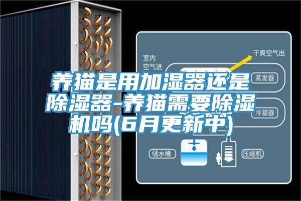 養(yǎng)貓是用加濕器還是除濕器-養(yǎng)貓需要除濕機嗎(6月更新中)