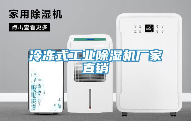 冷凍式工業(yè)除濕機廠家直銷