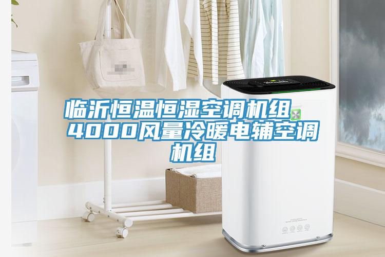 臨沂恒溫恒濕空調(diào)機(jī)組  4000風(fēng)量冷暖電輔空調(diào)機(jī)組