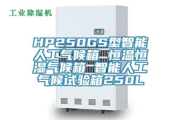 HP250GS型智能人工氣候箱 恒溫恒濕氣候箱 智能人工氣候試驗(yàn)箱250L