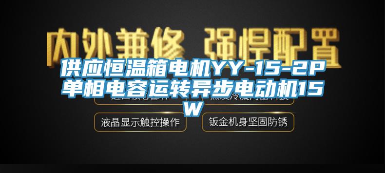 供應恒溫箱電機YY-15-2P單相電容運轉異步電動機15W