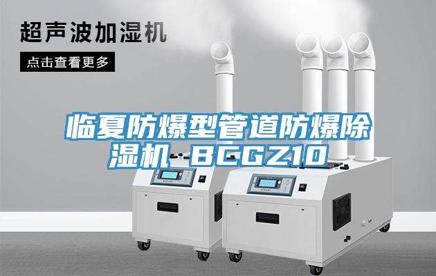 臨夏防爆型管道防爆除濕機(jī) BCGZ10