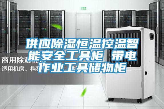 供應除濕恒溫控溫智能安全工具柜 帶電作業(yè)工具儲物柜