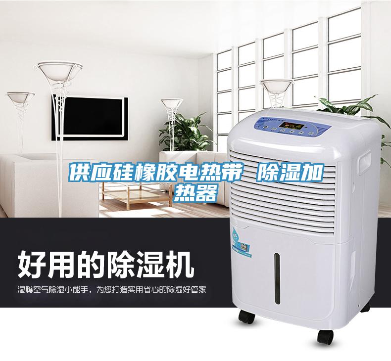 供應(yīng)硅橡膠電熱帶 除濕加熱器