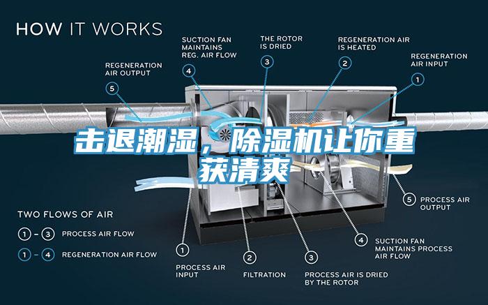 擊退潮濕，除濕機(jī)讓你重獲清爽