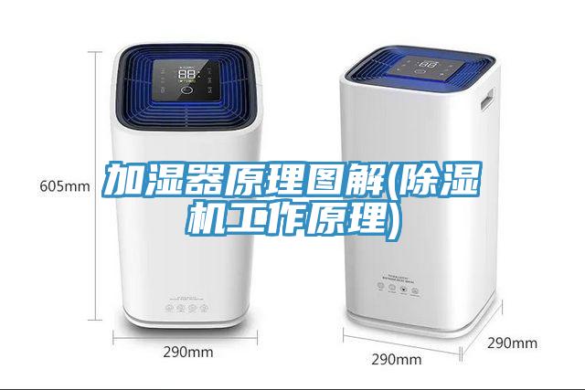 加濕器原理圖解(除濕機工作原理)